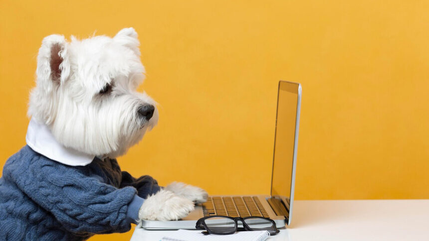 Perro en Lapto Pilares Fundamentales