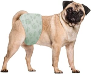 Pañal para perras en celo