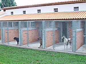 Alojamiento sin Caniles ni Jaulas